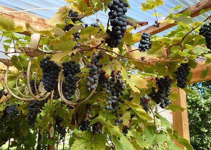 아파트 Esplanaadi 25 *