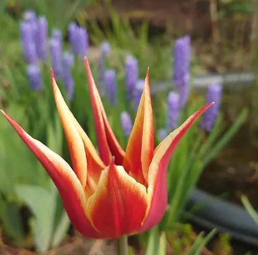 아파트 Esplanaadi 25 *