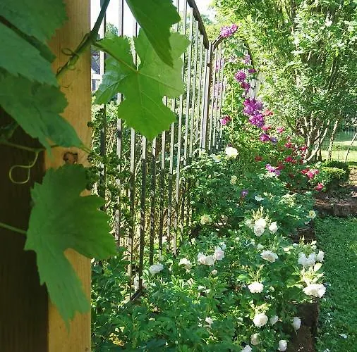 아파트 Esplanaadi 25